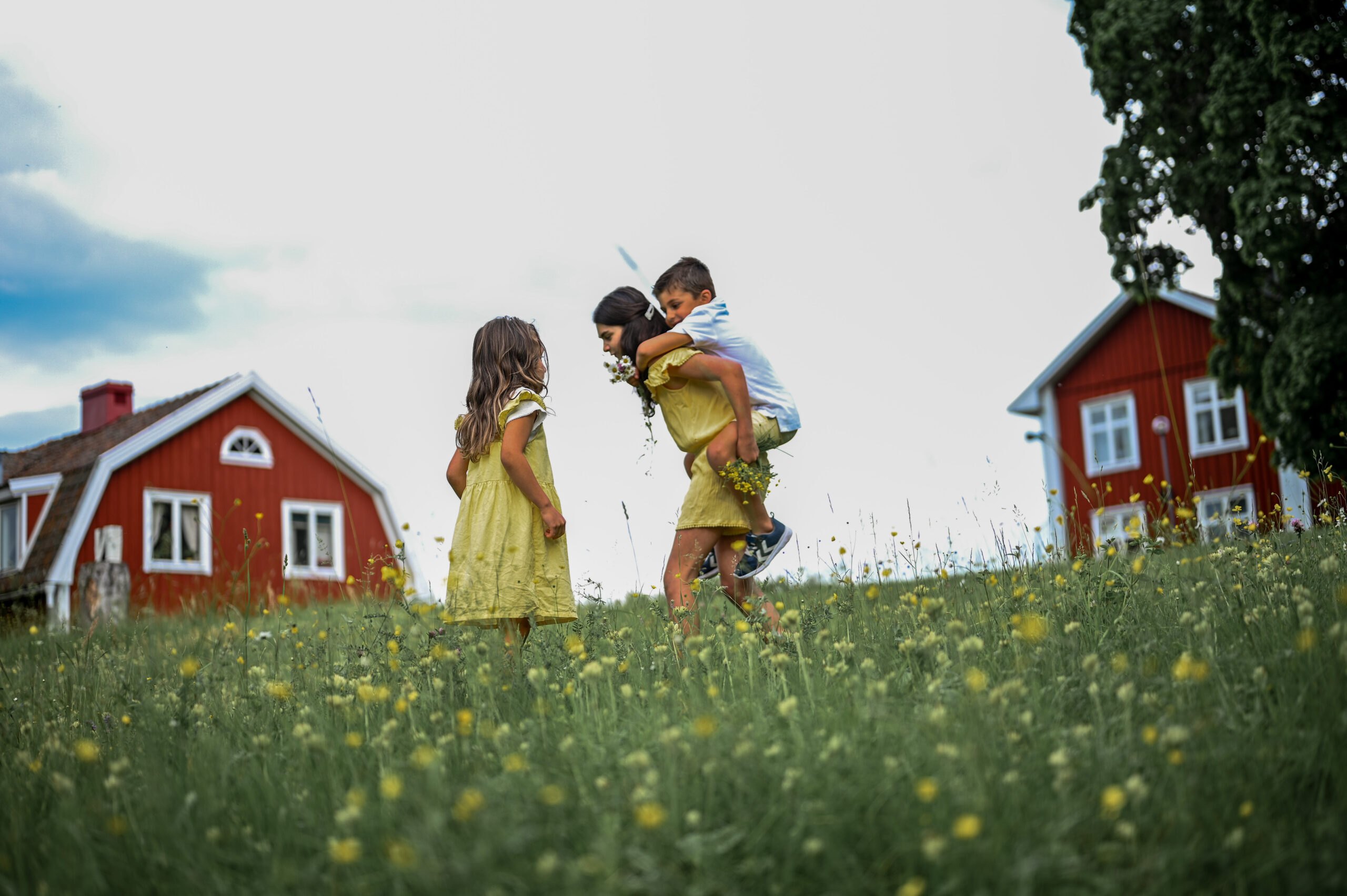 Barn som leker på landet i Järnboås i Nora kommun