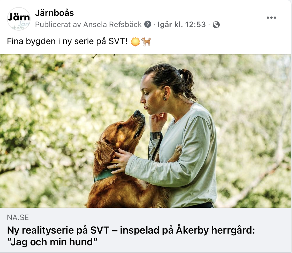 Screenshot från tv-serien Jag och min hund, inspelad i Järnboåsbygden