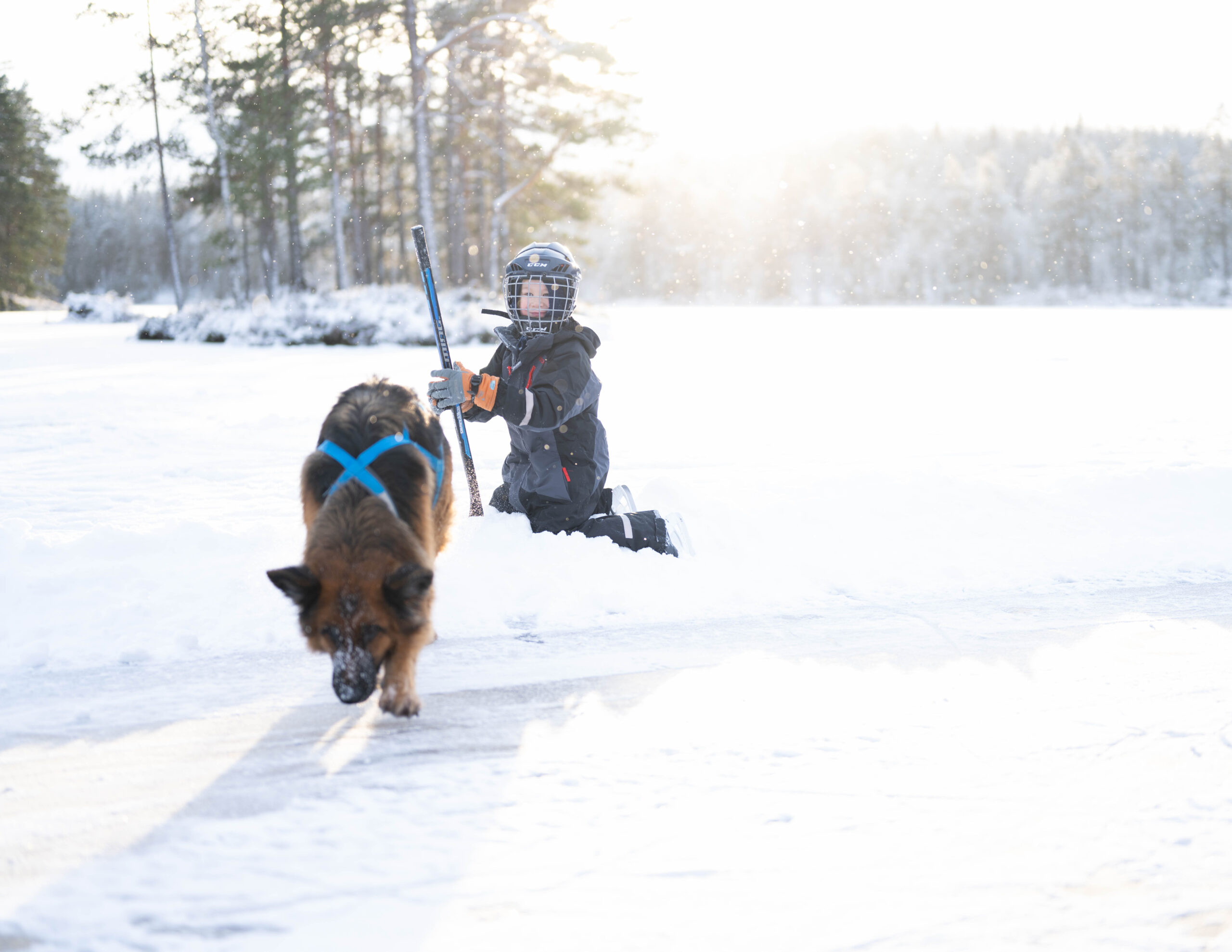 Vinter - Pojke på isen med hund, Dammsjön, Nyhyttan, Järnboås
