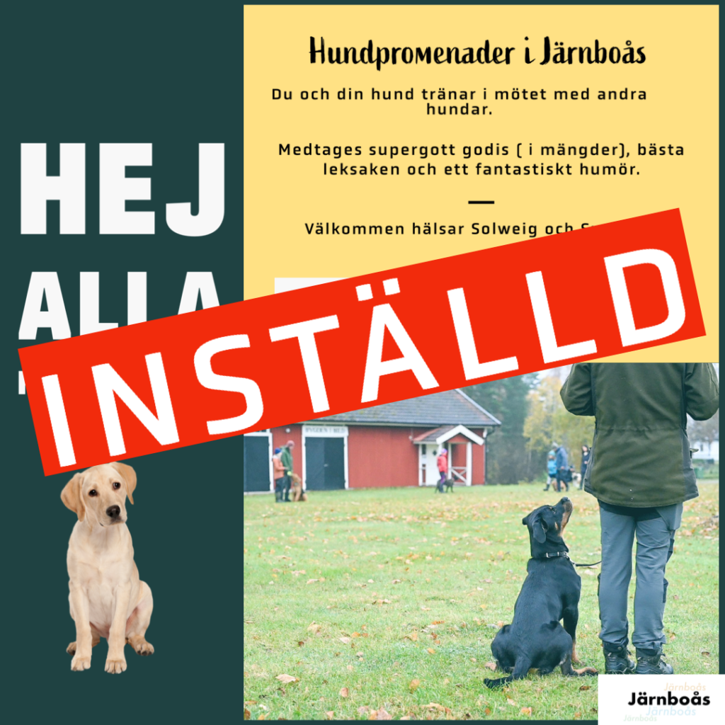 Inställd Hundpromenader i Järnboås