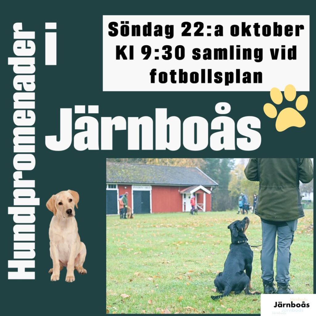 Hundpromenader vid fotbollsplan i Järnboås