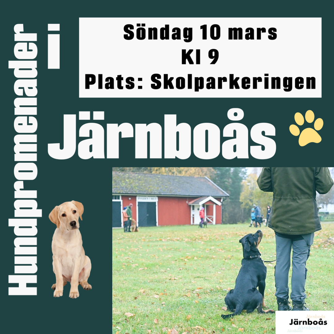 hundpromenader 10 mars i Järnboås