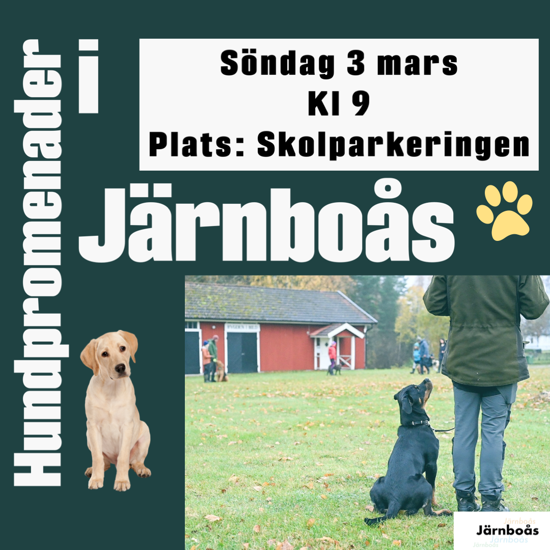 hundpromenader 3 mars i Järnboås