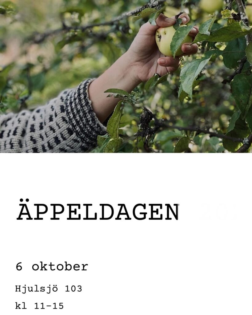 Hand som plockar ett. äpple från ett träd. Affisch Äppeldagen i Hjulsjö