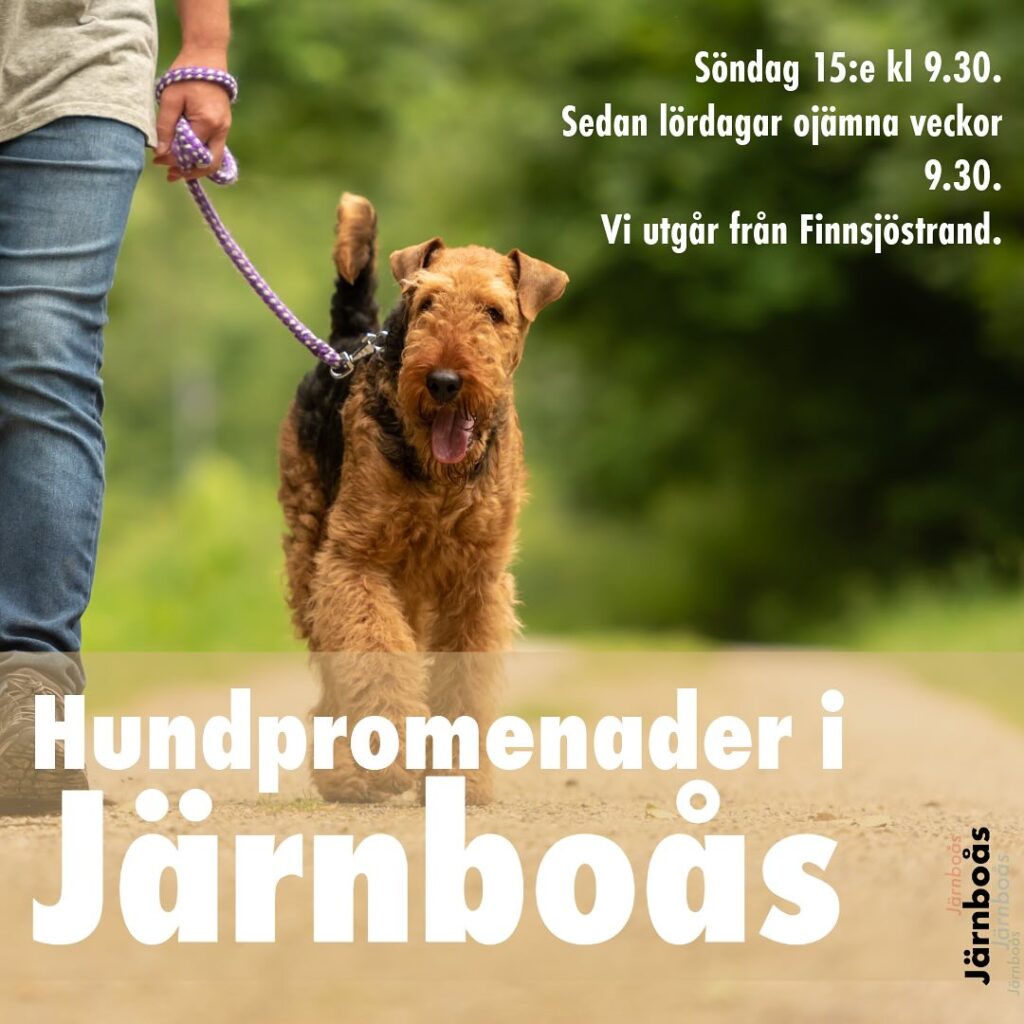 hundpromenader ht 24