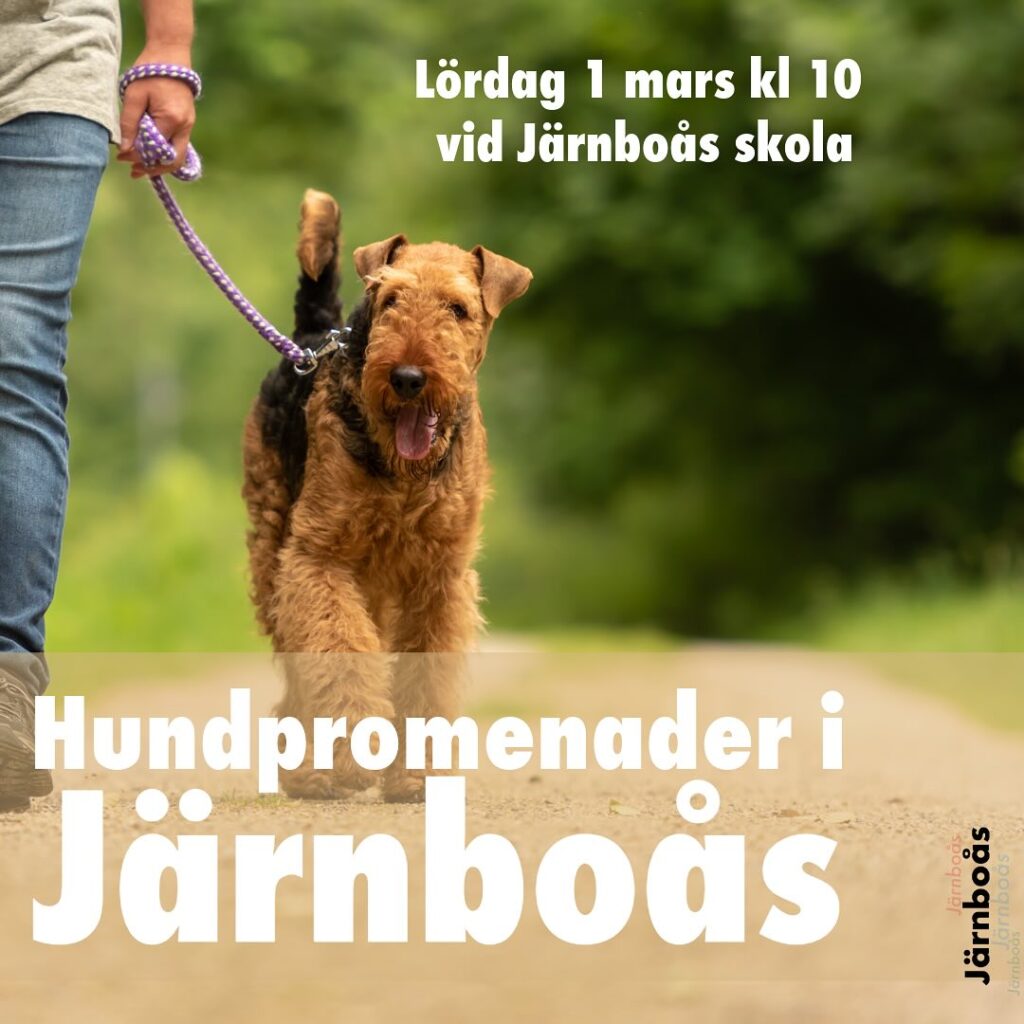 hundpromenader affisch 1 mars