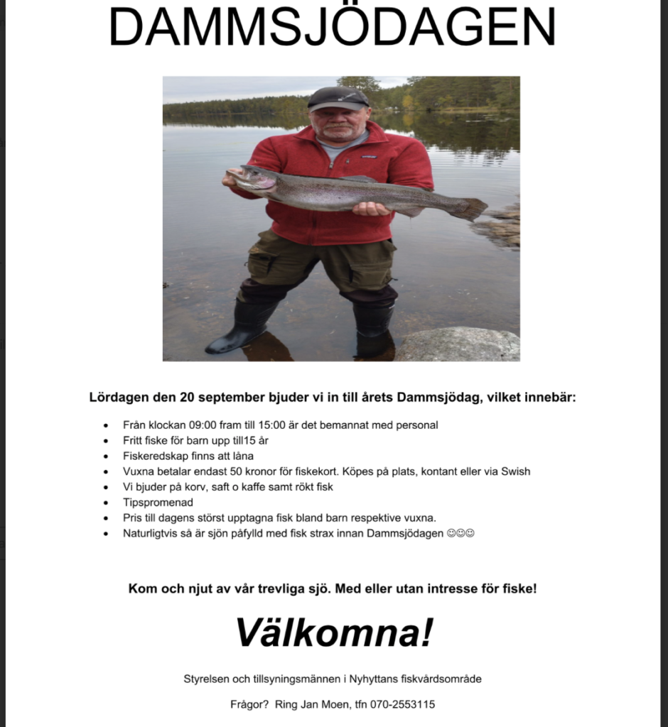Dammsjödagen 2025