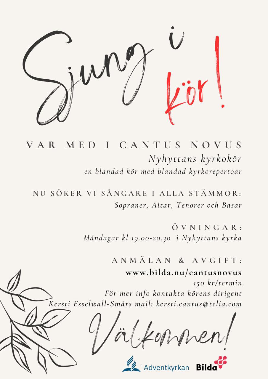 canuts novus HT25