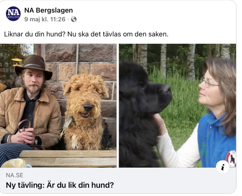 Skärmavbild från NA Bergslagen som skriver om Hundens dag 2026